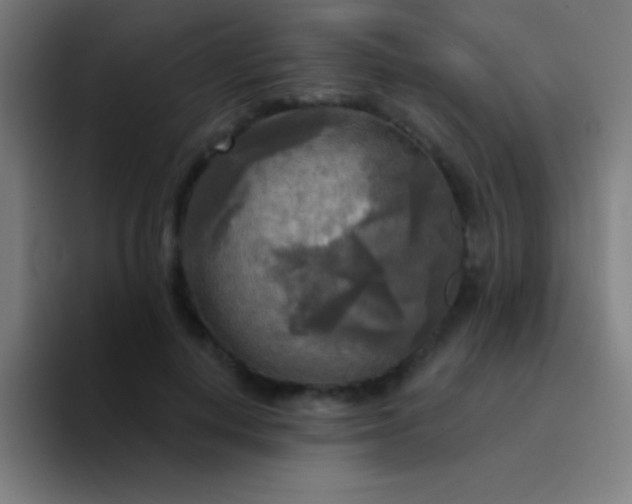 X0000094350648200711162031