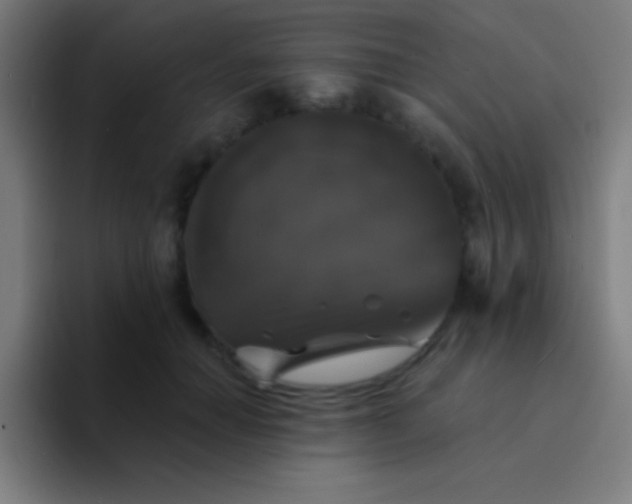 X0000094350654200711162031