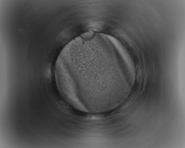 X0000094350655200711162031