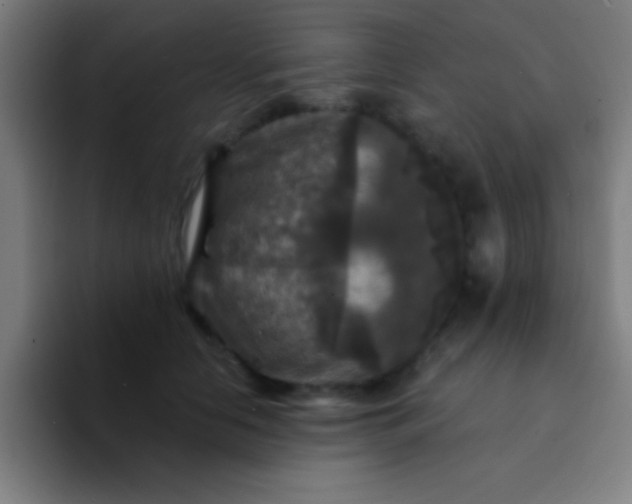 X0000094350658200711162031