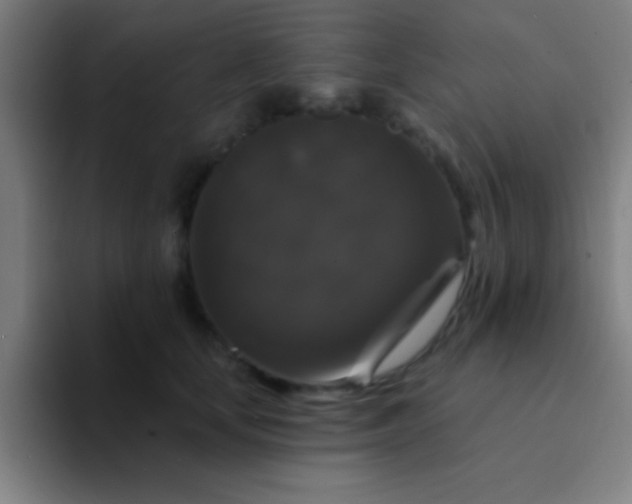 X0000094350659200711162031