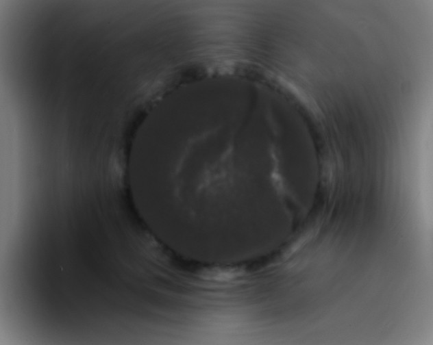 X0000094350661200711162031