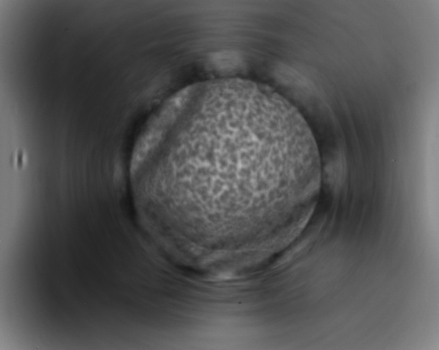 X0000094350662200711162031