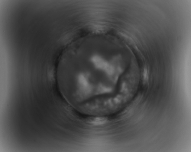 X0000094350663200711162031