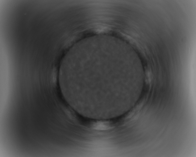 X0000094350664200711162031