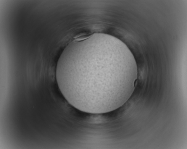 X0000094350666200711162031