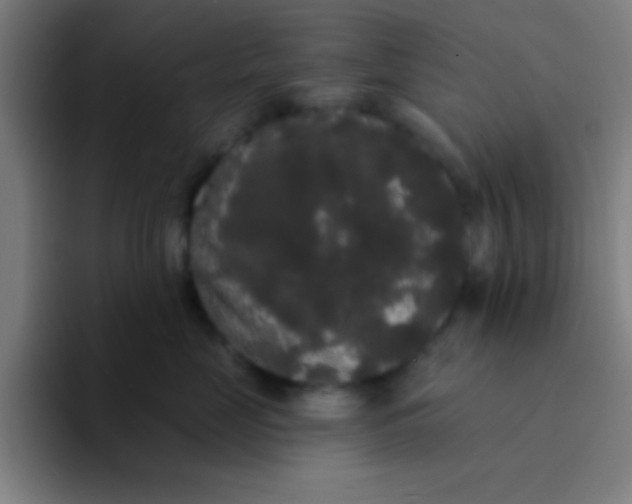 X0000094350669200711162031