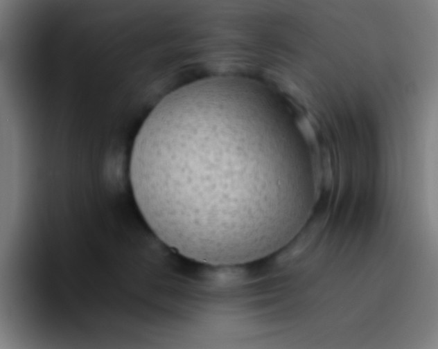 X0000094350670200711162031