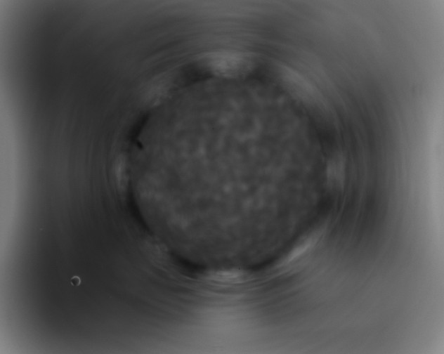 X0000094350671200711162031