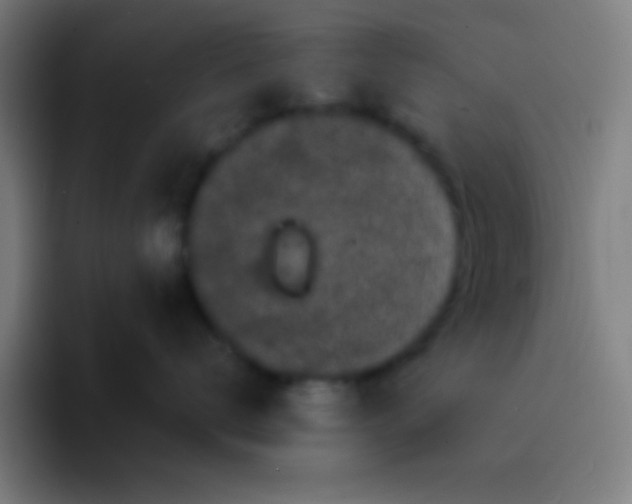 X0000094350672200711162031