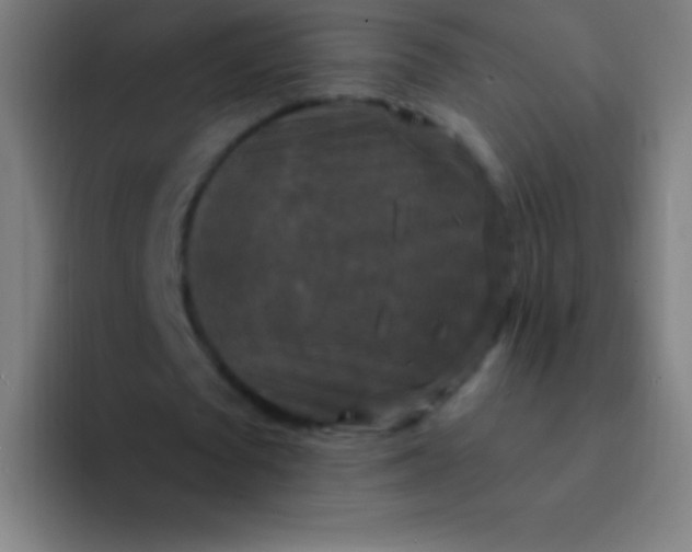 X0000094350673200711162030