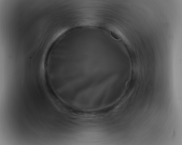 X0000094350674200711162030