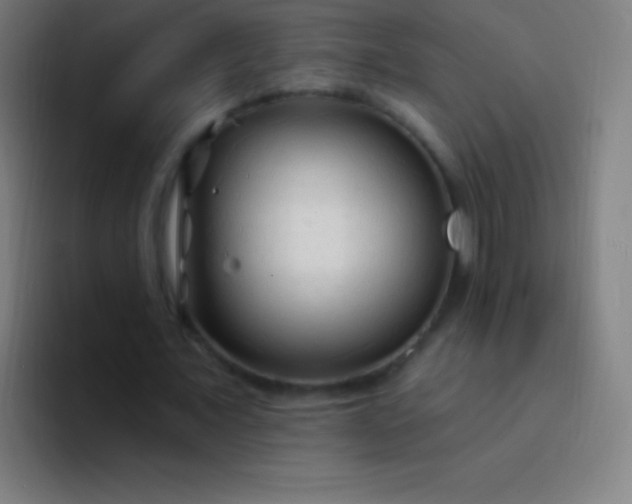 X0000094350675200711162030