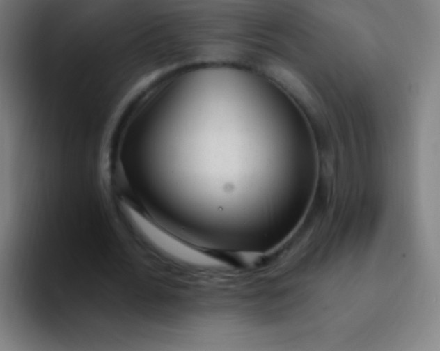 X0000094350676200711162030