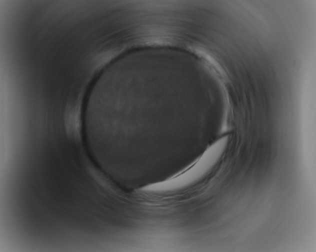 X0000094350677200711162030