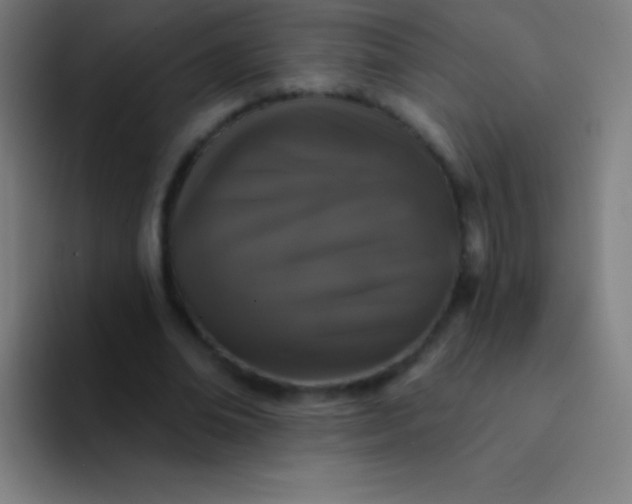 X0000094350678200711162030