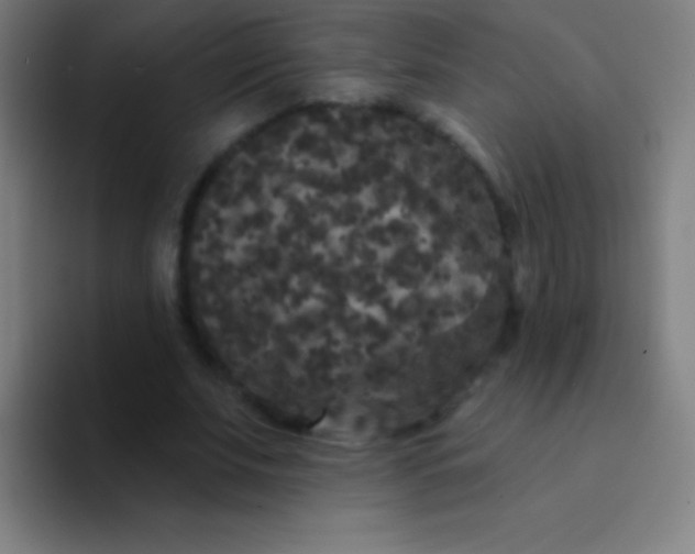 X0000094350679200711162030