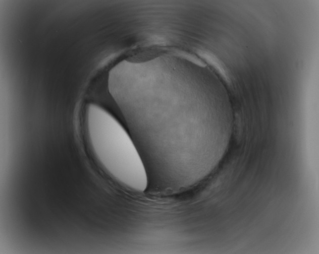 X0000094350680200711162030