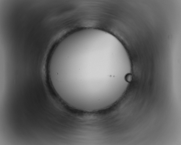 X0000094350682200711162030