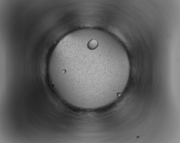 X0000094350683200711162030