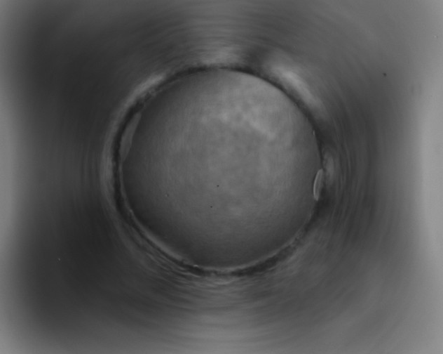 X0000094350684200711162030