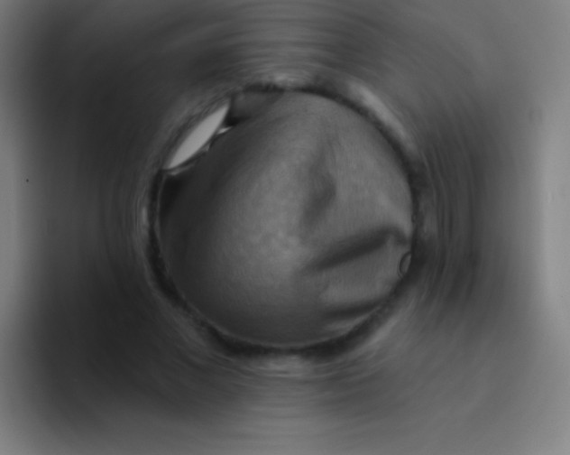 X0000094350685200711162030