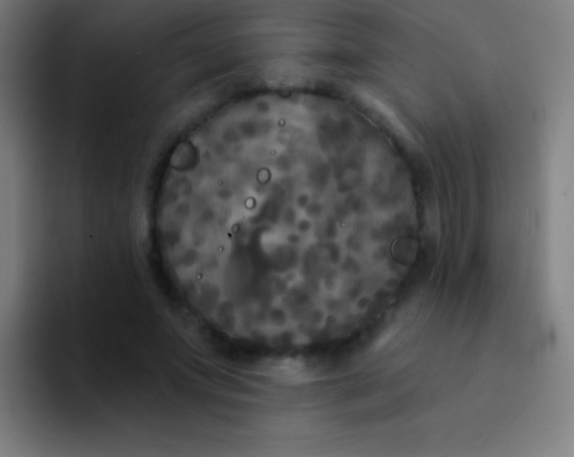 X0000094350687200711162030