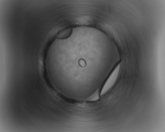 X0000094350688200711162030