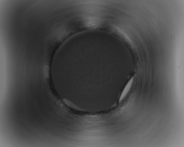 X0000094350689200711162030