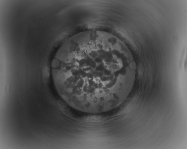 X0000094350691200711162030