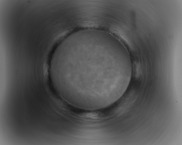 X0000094350692200711162030