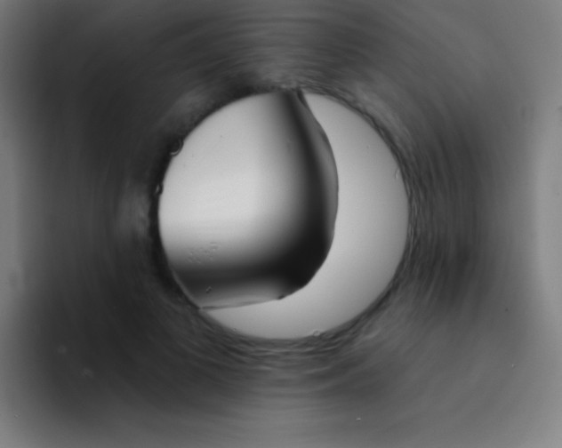 X0000094350693200711162030