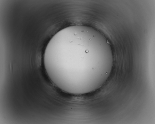 X0000094350694200711162030