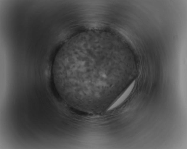 X0000094350695200711162030