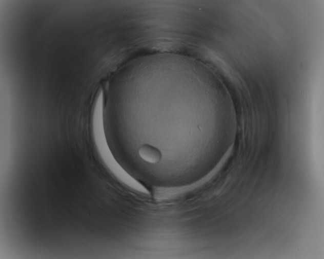 X0000094350696200711162030