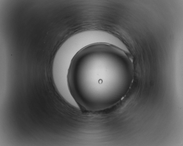 X0000094350697200711162030