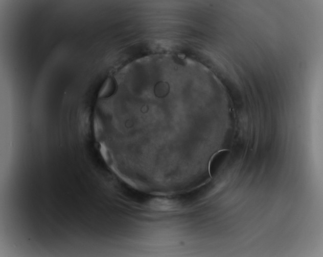 X0000094350699200711162030