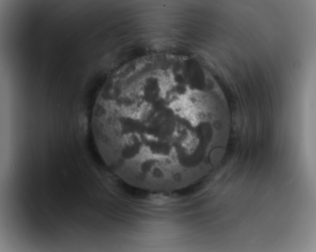 X0000094350703200711162030