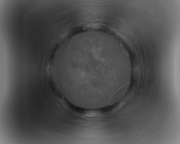 X0000094350708200711162030