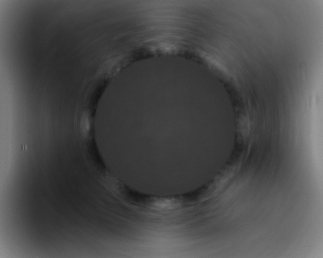 X0000094350709200711162030