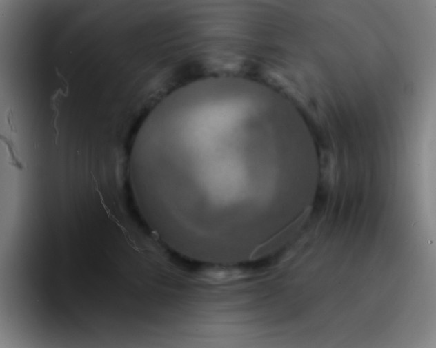 X0000094350712200711162030