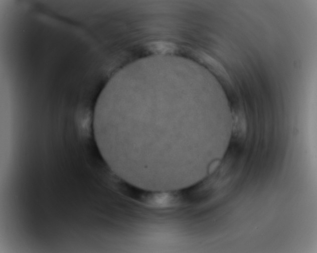 X0000094350717200711162030