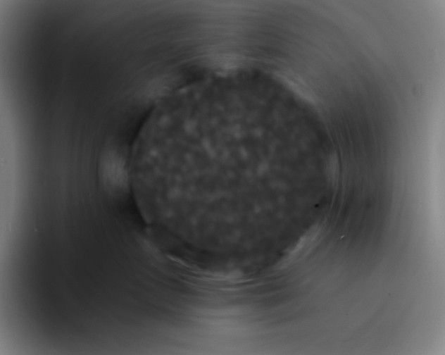 X0000094350719200711162030