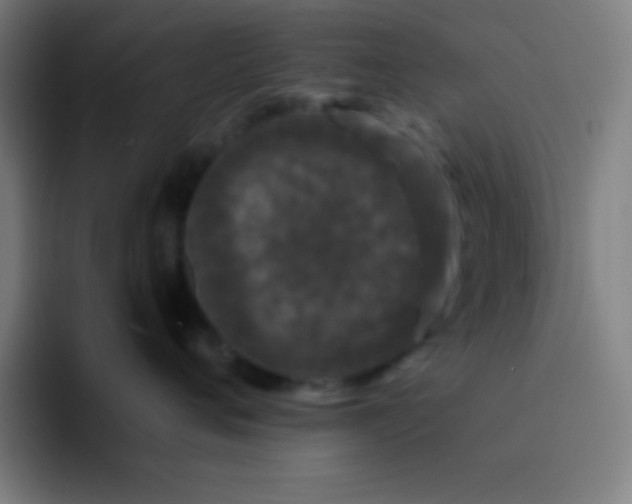 X0000094350720200711162030