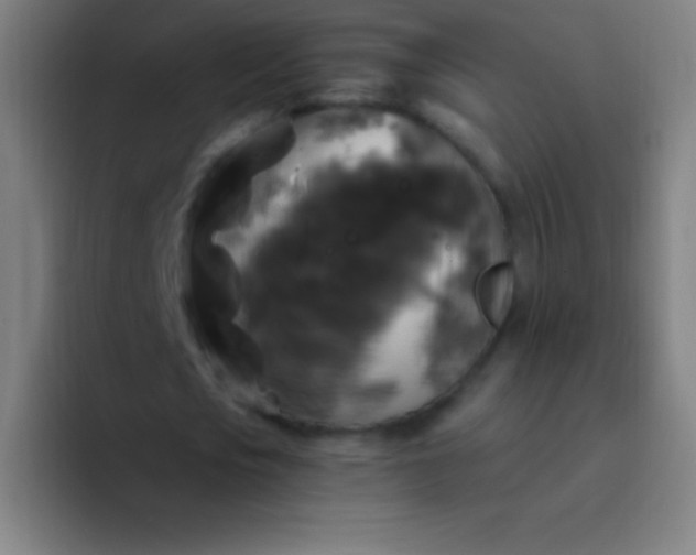 X0000094350721200711162029