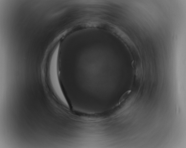 X0000094350722200711162029