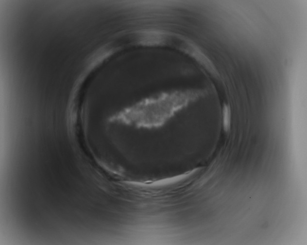 X0000094350723200711162029