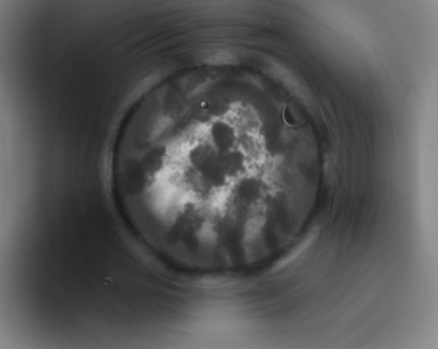 X0000094350725200711162029