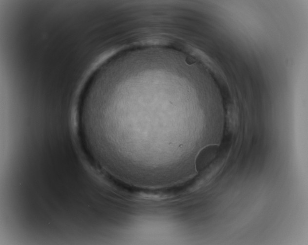 X0000094350726200711162029