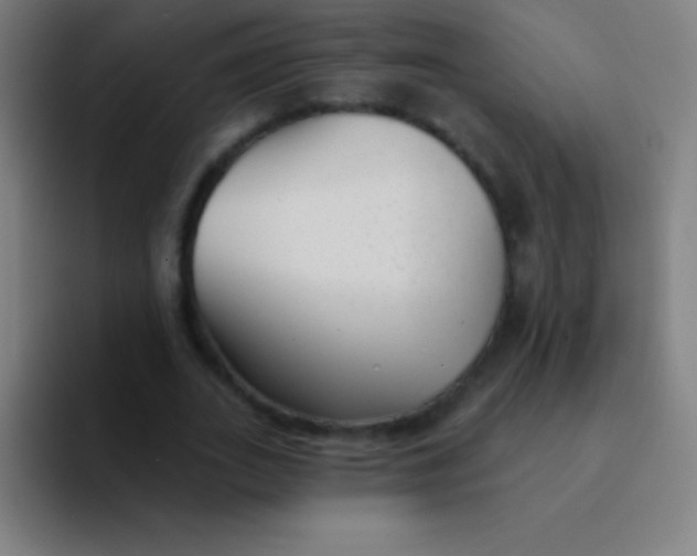 X0000094350727200711162029